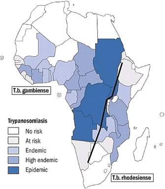 African Trypanosomiasis