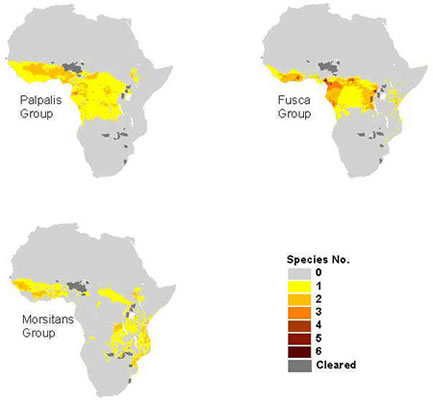 http://www.medicalecology.org/diseases/african_trypano/group%20distribution.jpg