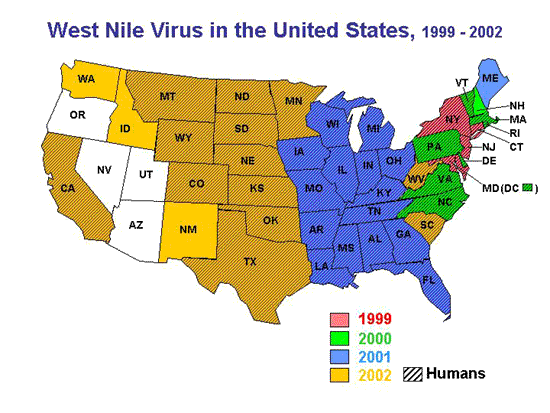 West Nile Virus