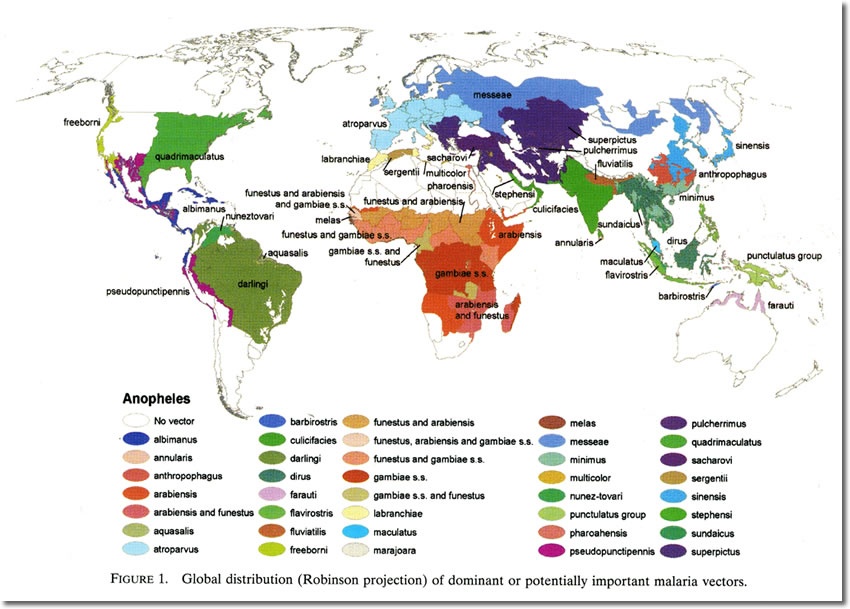area di diffusione potenziale della malaria
