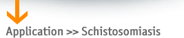 Schistosomiasis
